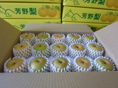 20110811-P1000901.JPG