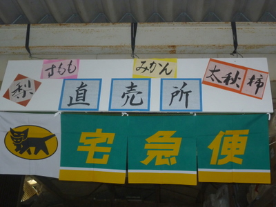 20110815-P1000903.JPG