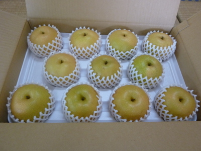 20110827-P1000918.JPG