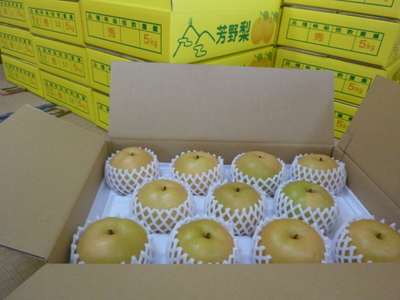 20110827-P1000919.JPG