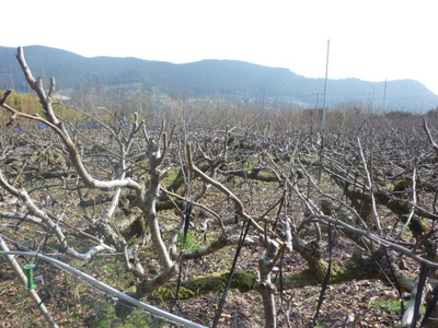20120131-P1010180.JPG