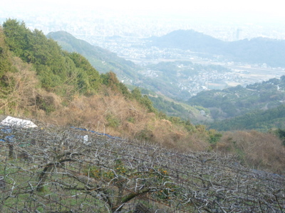 20120226-P1010232.JPG