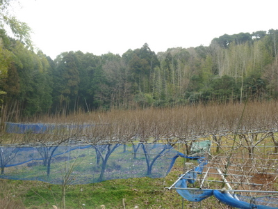 20120304-P1010254.JPG