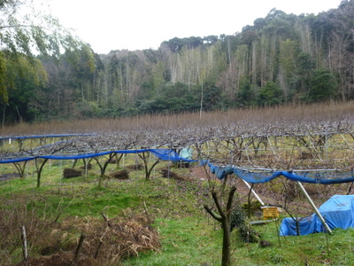 20120304-P1010272.JPG