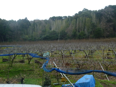 20120308-P1010274.JPG
