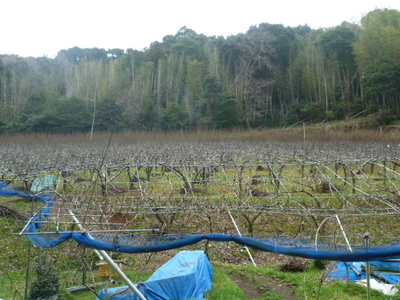 20120308-P1010275.JPG