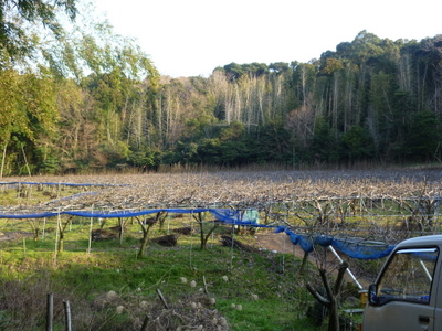 20120316-P1010286.JPG