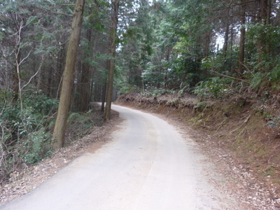 20120316-P1010307.JPG