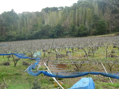 20120319-P1010330.JPG