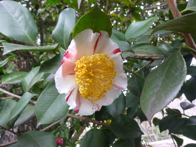 20120319-P1010333.JPG