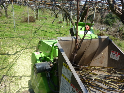 20120327-P1010367.JPG