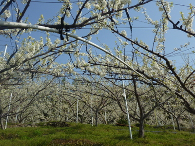 20120408-P1010422.JPG