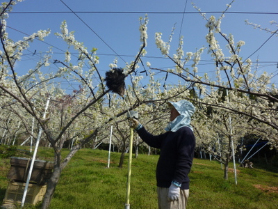20120408-P1010423.JPG