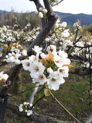 20120410-344.JPG
