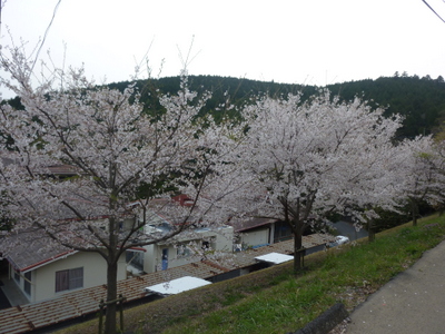 20120410-P1010440.JPG
