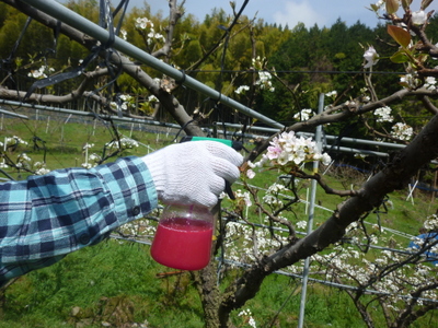 20120413-P1010453.JPG