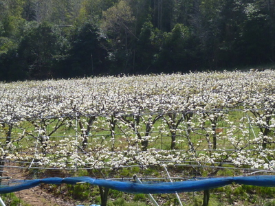 20120413-P1010454.JPG