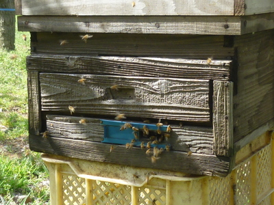 20120413-P1010455.JPG