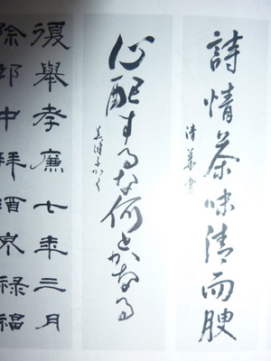 20120415-P1010460.JPG