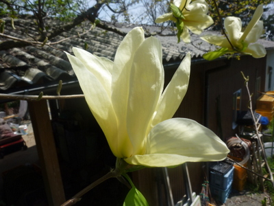 20120421-P1010496.JPG