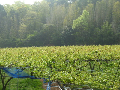 20120428-P1010501.JPG