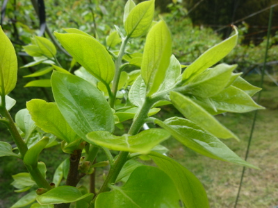 20120428-P1010503.JPG