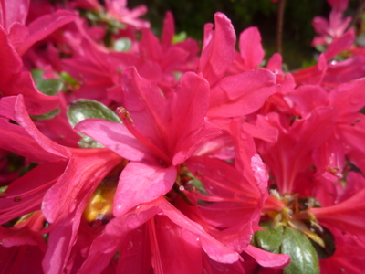 20120428-P1010504.JPG