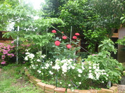20120606-P1010555.JPG