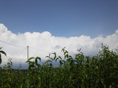 20120621-006-001.JPG