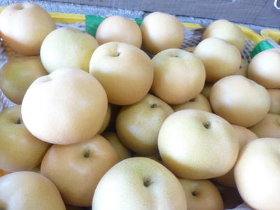 20120827-P1010727.JPG