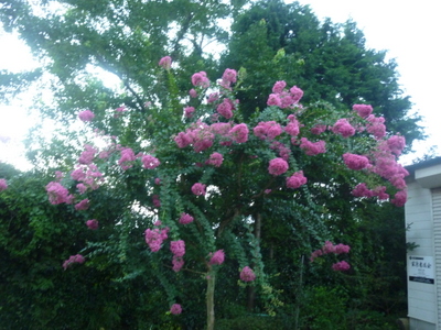 20120902-001.JPG