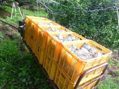 20120902-004.JPG