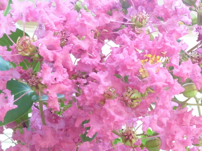 20120902-007.JPG