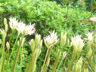 20120924-005.JPG