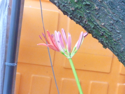 20120924-007.JPG