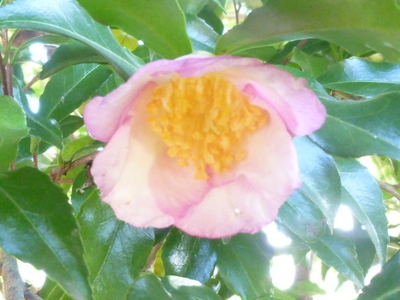 20121012-002.JPG