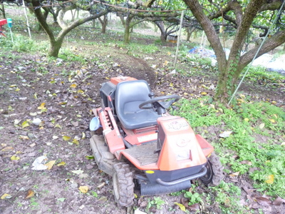 20121022-004.JPG