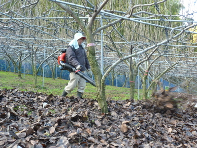 20121229-043.JPG