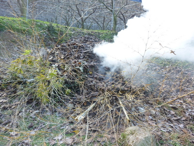 20121229-045.JPG