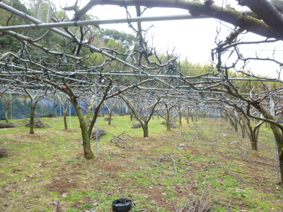 20130106-008.JPG