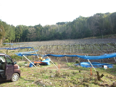 20130121-002.JPG