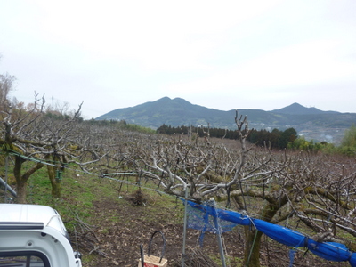 20130125-001.JPG