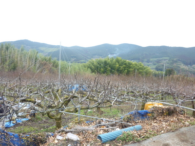 20130125-002.JPG