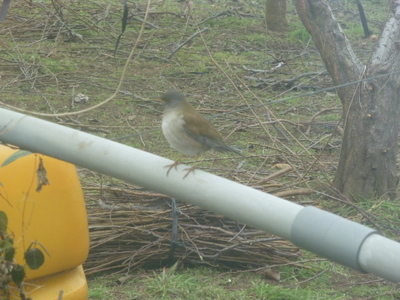 20130205-001.JPG