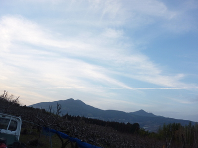 20130205-002.JPG