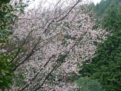 20130206-001.JPG