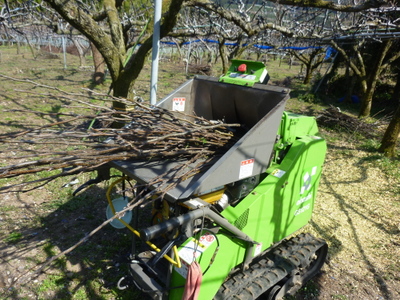 20130311-007.JPG