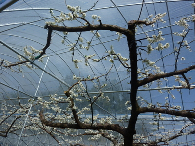 20130311-032.JPG