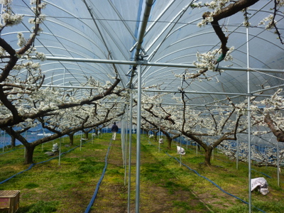 20130311-033.JPG