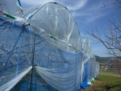 20130311-034.JPG